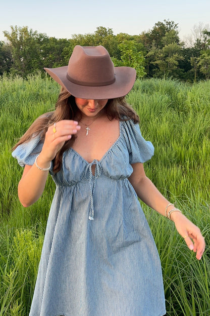 Blue Striped Chambray Front Tie Maternity Mini Dress
